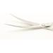 6.5 HASHIMOTO Curved Dog Grooming Scissors - Professional Groomer Design - Buy Online on GoSupps.com