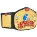 WWE Authentic Wear European Championship Replica Title Belt Multi - Buy Online on GoSupps.com