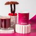 Smaints Mushroom Smoothie Powder - Organic Balance Fruit Powder with Reishi Maitake Rhodiola Maca & Shatavari for Optimal Health | International Shipping - Buy Online on GoSupps.com