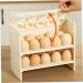 PRETYZOOM Container Fridge Organizer Flipped Household Rack Shop Egg Supply Preservation Refrigerator Storage - Buy Online on GoSupps.com