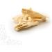 Dragonfly Beef Scalp Dog Chews 250g | Grain-Free & Long Lasting | Non-Rawhide Alternative | Natural Raw Treat Stick for Medium to Large Breeds - Buy Online on GoSupps.com
