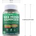 Irish Sea Moss 3000mg Gummies with Bladderwrack Burdock Root & Manuka Honey - Immune Thyroid & Detox Support - Seamoss Supplement Extra Strength - Sugar Free & Vegan (60 Count Raspberry) Raspberry 60 Count (Pack of 1) - Buy Online on GoSupps.com