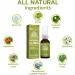 BreathDetox Herbal Lung Cleansing Spray Powerful Lung Support Lung Cleanse and Detox Naturally Reduce Cough & Clear Mucus Phlegm (2 pc) - Buy Online on GoSupps.com