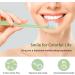 Suree Extra Soft Toothbrush for Sensitive Teeth & Gums - 5 Pack | Ultra Soft Nano Bristles for Adults & Elderly - Buy Online on GoSupps.com