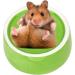 CAJHFIZHANGU 1pc Gradient Side Hamster Ceramic Bowl Hamster Food Bowl Ceramic Water Bowl Small Animal Water Bowl Anti-bite Small Animal Food Bowl Water Feeder for Rabbit Hedgehog Guinea-Pig Green - Buy Online on GoSupps.com
