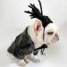 Funny Dog & Cat Role Play Wigs | Halloween Christmas & Party Costumes for All Pet Sizes - Buy Online on GoSupps.com