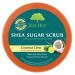 Tree Hut Shea Sugar Body Scrub Watermelon Coconut Lime 18oz 2PK with Makeup Remover Wipe - Set of 3 - Buy Online on GoSupps.com