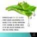 JoyJour Soothing Aloe Vera Gel for Post Waxing - Calming Treatment for Irritated Skin, Non-Greasy Formula, 16 oz - Buy Online on GoSupps.com