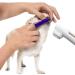 Rosixehird Catznock Brush Essential Puppy & Kitten Toothbrush & Toothpaste for Healthy Smiles | Pet Supplies for Home Clinics and Shelters - Buy Online on GoSupps.com