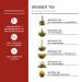 Creano Tea Flowers - 36 Bulk Tea Balls | Premium White Blooming Tea & Flowering Tea Roses - Buy Online on GoSupps.com
