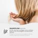 Organic Certified Shea Butter 1kg - Vegan Refined for Natural Cosmetics - Ideal for Skin & Hair - Buy Online on GoSupps.com