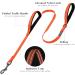 Vivaglory Traffic Handle Dog Leash - Reflective Padded Strong Metal Hook - 1.2m Orange Training Line for Dogs - Buy Online on GoSupps.com