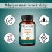 mi Nature Cissus Extract Tablets |Plant Based| Free from Chemical & Preservative| Gluten Free Non-GMO |90 Tablet 45 Days Supply 1000mg - Buy Online on GoSupps.com