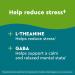 Nature Made Wellblends Stress Relief Gummies - Strawberry Flavor (40 Count) - Buy Online on GoSupps.com