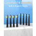 SEAGO Ultrasonic Electric Toothbrush for Adults | Rechargeable with 8 Brush Heads | Black SG-507 H8 - Buy Online on GoSupps.com