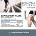 Pomona Wellness Calcium + Vitamin D Daily Supplement | Bone & Teeth Health | Immune Support | 500mg Calcium & 250 IU D3 | Non-GMO | 120 Tablets - Buy Online on GoSupps.com