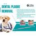 Double Headed Tarter Scraper & Tooth Scaler for Dogs & Cats - Stainless Steel Dental Tool for Pet Teeth Cleaning - Buy Online on GoSupps.com