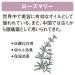 Shiseido Super Mild Green Conditioner Pump - Gentle Hair Care Solution - Buy Online on GoSupps.com
