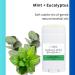 Get Unfiltered Floral Fusions Natural Aluminum Free Deodorant (Mint) - Buy Online on GoSupps.com