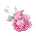 Hair Clip Hairpin Bridesmaid Pin up 2 Pcs Flower Brooch Hanfu Party Wedding Decor Pink