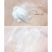 Let s Cure C-Ster High Performance Whitening | 100% Vitamin C Powder - 15g | Brighten Your Skin - Buy Online on GoSupps.com