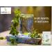 CROW Pack of 2 Tulsi Powder Moringa Powder (100 GM Each) Combo Pack 200 GM by B Naturall - Buy Online on GoSupps.com