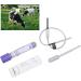 Bovine Cow Pregnancy Test Kit | Rapid & Accurate Colloidal Gold Method for Cattle Over 28 Days | International Shipping Available - Buy Online on GoSupps.com