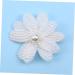 Didiseaon Hair Barrette Pearl Hair Clip Kids Hair Clips Kids Barrettes for Hair Hairpins Bobby Pin Kids Hairpin Floral Hair Clip Hair Pin Child Hair Accessories - Buy Online on GoSupps.com