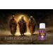 Young Living 3 Wise Men Essential Oil Blend - 15ml for Peaceful Sleep & Relaxation | Aromatherapy with Almond Oil - Buy Online on GoSupps.com