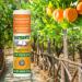 Montana Emu Ranch Tangerine Lip Balm - 3 Pack - 0.25 oz - Pure Emu Oil Formula - Buy Online on GoSupps.com