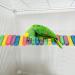 Colorful Wooden Hamster Rainbow Bridge Suspension Ladder Climbing Platform (6*50cm) - Ideal for Parrot, Mice, Gerbil, Chinchilla Cage Accessories - Buy Online on GoSupps.com