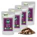 Azafran ORGANIC Indian Chai Tea - Spiced Tea loose 1000g 250 g (pack of 4)