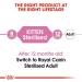 Royal Canin - Sterilized Kitten From 6 Months - 2 Kg Bag (1 Pack) - Buy Online on GoSupps.com