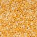 Global Choice Toor Dal Dry 4 Lbs - Buy Online on GoSupps.com
