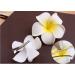 Buy cuhair 3pcs Plumeria Hair Clips for Women & Girls | Stylish Hair Accessories - Buy Online on GoSupps.com