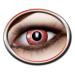 Zoelibat Eyecatcher motif lenses - Electro Red m19 - colored 3-month contact lenses - for devil Halloween and cosplay costumes