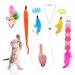 Loudhhe 6 pieces of cat toys self -employment hanging door frame cat toys springs set set hanging cat toys interactive cat toys mice for cat outlet and against boredom