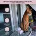 Kotomoda Wet Wipes with Panthenol for Sphynx Cats - Daily Use (3 Pack/45 Pieces) - Gentle & Effective Care - Buy Online on GoSupps.com