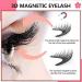 ZZCV Koleen Made Magnetic Eyelashes Koleen Magnetic Lashes Koleen Magnetic Eyelashes Pro Koleen Eyelashes Reusable & Waterproof Magnetic Eyelashes with Applicator False Lashes (Natural) - Buy Online on GoSupps.com