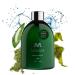 MASAMI Mekabu Hydrating Shampoo: Sulfate-Free Paraben-Free Vegan