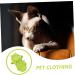 Yardwe Pet Kitten Sweater - Breathable Winter Jacket for Cats | Cozy Coats & Costumes | Light Green | Perfect for Autumn & Winter - Buy Online on GoSupps.com