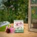 Die Stadtg rtner Sun Hats / Echinacea Seeds | Medicinal and Eye-Catching Plant | Seeds for 80 Plants - Buy Online on GoSupps.com