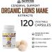 Lions Mane Supplement Capsules Organic Mushroom Extract Supplement Ultra Strength 10:1 Lions Mane Mushroom Supporting Memory Cognition Brain Fog 120 caps 120 Count (Pack of 1) - Buy Online on GoSupps.com