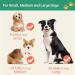 Happy & Polly Dog Leash Retractable Dog Leash Heavy Duty 5M Dog Walking Leash with Flashlight Detachable/Protective Bungee Leash/Magic Box Dispenser Poop Bags for Small Medium Dogs (Green) Green 16.4ft - Buy Online on GoSupps.com
