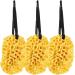Beavorty 3pcs Honeycomb Bath Ball Sponges - Natural Exfoliating Loofah for Skin Cleansing & Shower | International Shipping Available - Buy Online on GoSupps.com