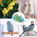 NA Bird Bath Tub Plastic Bird Bath Toy Bird Cage Accessories Food Feeder for Pet Parrot Parakeet Cockatiel - Buy Online on GoSupps.com
