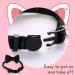 Shop Cute Breakaway Cat Collars with Bells - Personalized Neck Bands for Kittens & Puppies in Blue & Black - Ideal for Small Pets - Buy Online on GoSupps.com