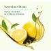 LE PETIT OLIVIER - Freshness Deodorant - Lemon Verbena - Skin-Friendly - 24-Hour Effectiveness - Alcohol-Free - 98% Natural Origin - Refillable Bottle - Made in France - 50 ml - Buy Online on GoSupps.com