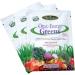Paradise Herbs ORAC-Energy Greens - 15 Packets (6g Each) | Antioxidant Superfood Supplement - Buy Online on GoSupps.com