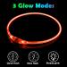 Auauy LED Light Neck Band Dog Collar - USB Rechargeable Waterproof & Adjustable - Pet Security Luminous Band for Dogs & Cats (Red) - Buy Online on GoSupps.com